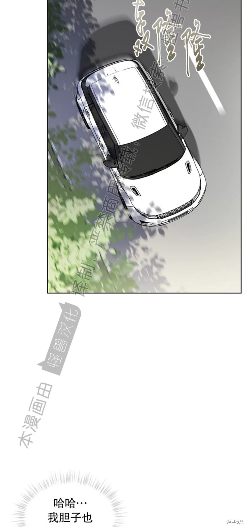 49.jpg