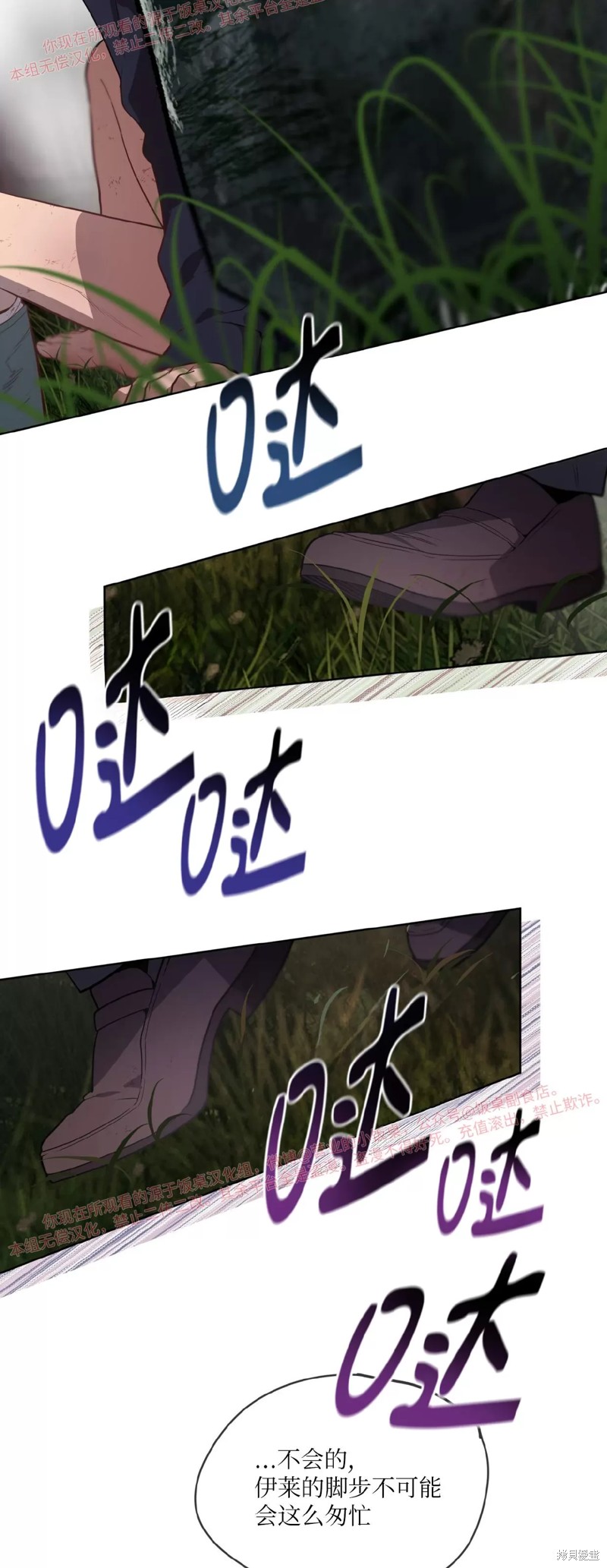 40.jpg