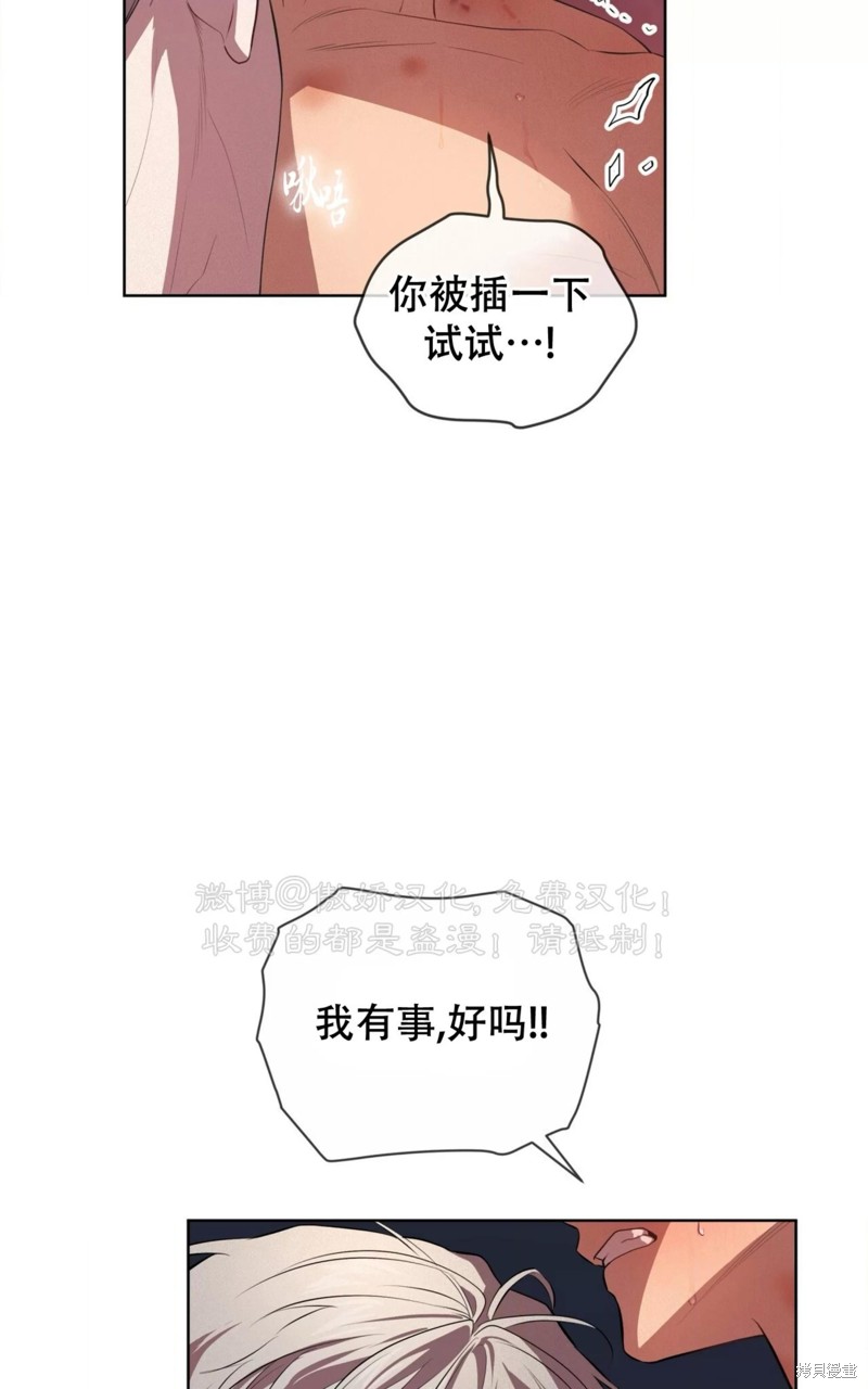 77.jpg