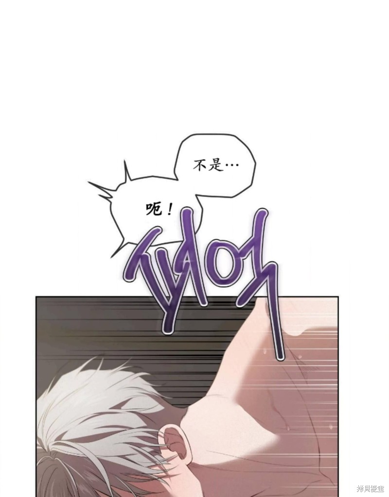 97.jpg