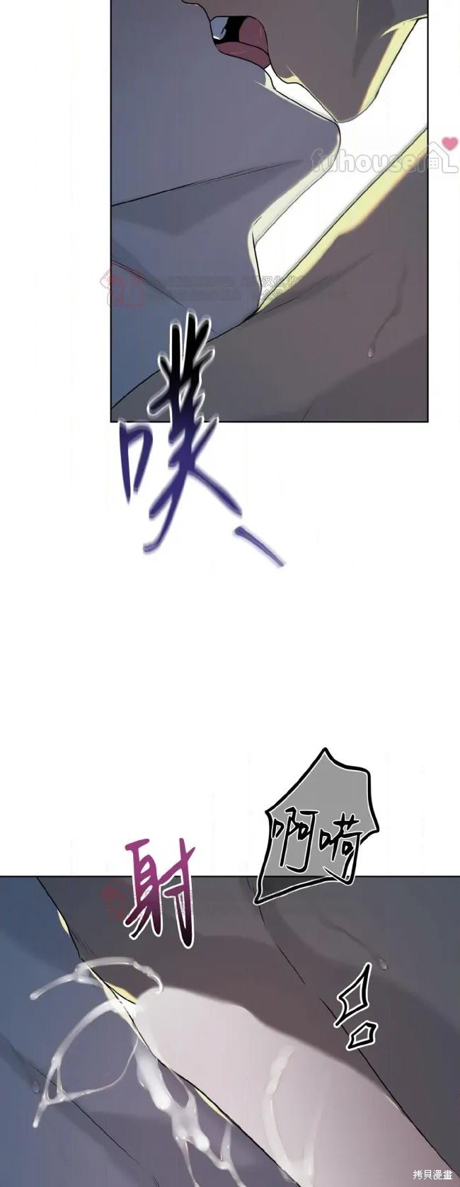 51.jpg