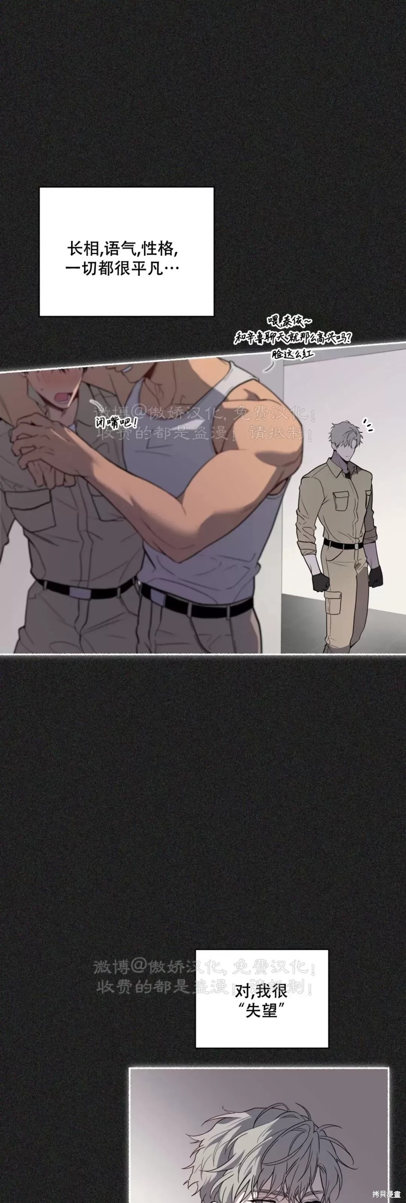 15.jpg