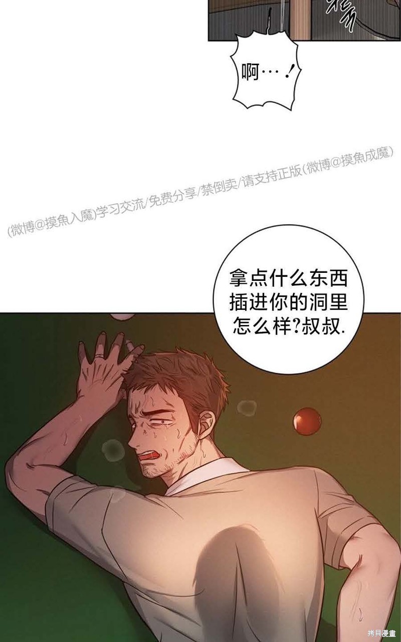 29.jpg